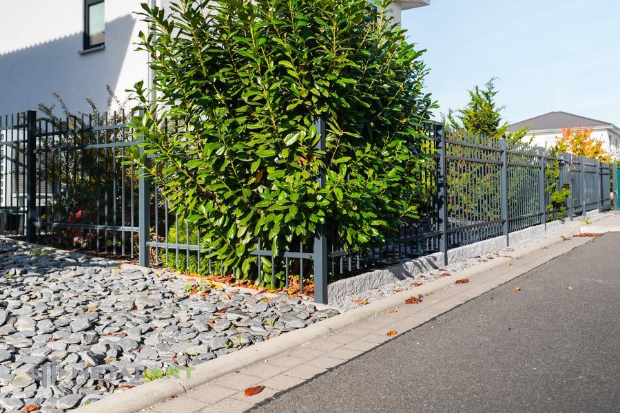 Zaunprojekt, Zaunportfolio, Zaunmuster, Schmiedezaun, Schmiedezäune, Zaunanlage Projekt, Zaun Metal Art, Zäune aus Polen, Zaun Berlin, Zaun günstig kaufen, Zäune und Tore, klassische Zäune, Gartenzaun, Gartenzäune