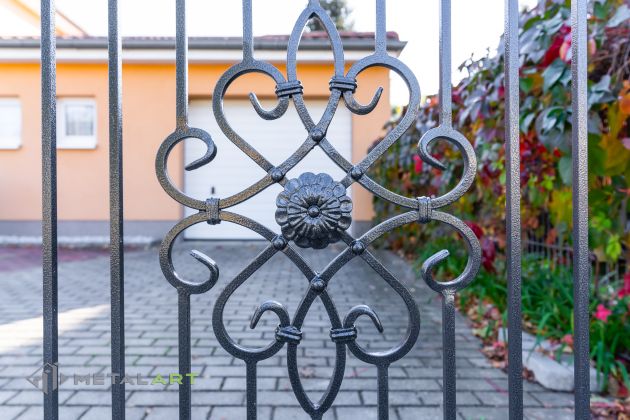 Ornament im Zaun, Rosette im Zaun