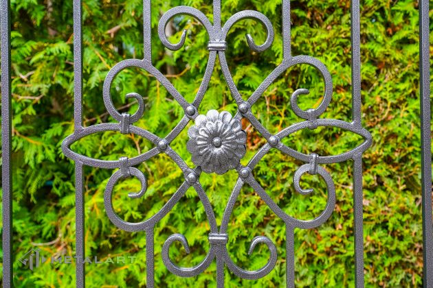 Ornament im Zaun, Rosette im Zaun