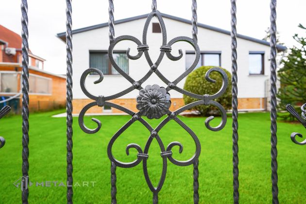 Ornament im Zaun, Rosette im Zaun